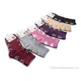 Жіночі шкарпетки Весна/осінь AD003 mix (12 шт. р.сітка36-41) "Thanh" недорого оптом від прямого постачальника