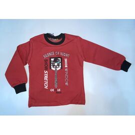 Фотография Свитшот детский на мальчика 1431 brown р.88-104 "BURATINO" недорого оптом от прямого поставщика