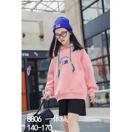Худи дитячий на дівчинку 8806 pink р.140-170 "Gold Kids" недорого оптом від прямого постачальника