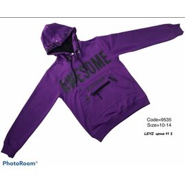 Худи дитячий на хлопчика 9535 violet р.10-14 "Gold Kids" недорого оптом від прямого постачальника