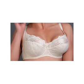 Жіночий бюстгалтер 5028-2 р.D "Diorella" недорого оптом від прямого постачальника