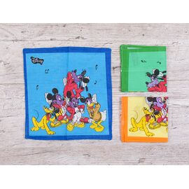 Носова хустка дитяча унісекс LI007 mix р.28*28 "Shawls" недорого оптом від прямого постачальника