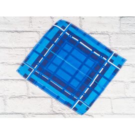 Носова хустка чоловіча P67 blue р.31*31 "Shawls" недорого оптом від прямого постачальника