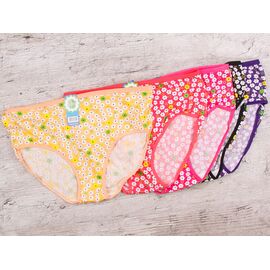 Труси жіночі 3909 р.54-56 "Shawls" недорого оптом від прямого постачальника