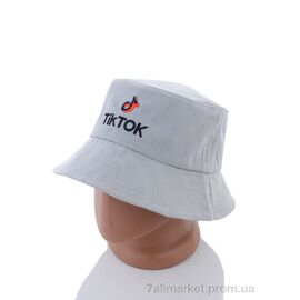 Фотография Панама мужская Весна/осень CL006-6 grey (3 шт. р.сетка 57-59) "KUINH" недорого оптом от прямого поставщика