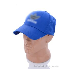 Фотография Кепка для мужчин Весна/осень 1008-1 blue (3 шт. р.сетка 57-59) "KUINH" недорого оптом от прямого поставщика