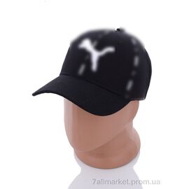 Фотография Кепка для мужчин Весна/осень 2012-1 black (5 шт. р.сетка 57-59) "KUINH" недорого оптом от прямого поставщика