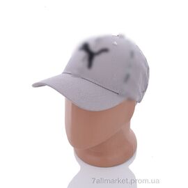 Фотография Кепка для мужчин Весна/осень 2012-2 grey (5 шт. р.сетка 57-59) "KUINH" недорого оптом от прямого поставщика