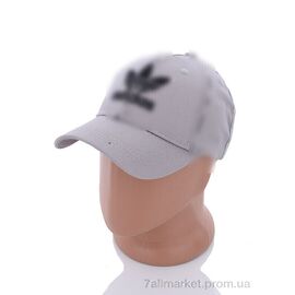 Фотография Кепка для мужчин Весна/осень 2013-1 grey (5 шт. р.сетка 57-59) "KUINH" недорого оптом от прямого поставщика