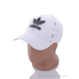 Фотография Кепка для мужчин Весна/осень 2013-4 white (5 шт. р.сетка 57-59) "KUINH" недорого оптом от прямого поставщика