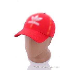 Фотография Кепка для мужчин Весна/осень PM017-5 red (5 шт. р.сетка 57-59) "KUINH" недорого оптом от прямого поставщика
