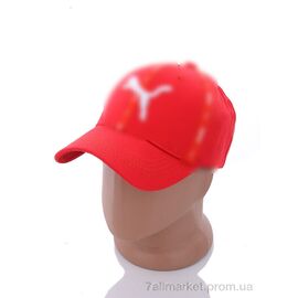 Фотография Кепка для мужчин Весна/осень PM018-1 red (5 шт. р.сетка 57-59) "KUINH" недорого оптом от прямого поставщика