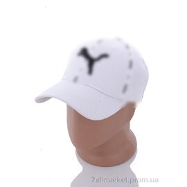 Фотография Кепка для мужчин Весна/осень PM018-2 white (5 шт. р.сетка 57-59) "KUINH" недорого оптом от прямого поставщика