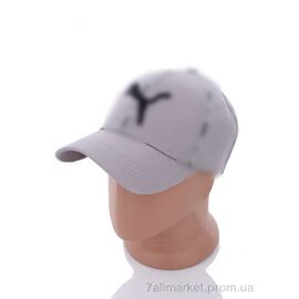 Фотография Кепка для мужчин Весна/осень PM018-4 grey (5 шт. р.сетка 57-59) "KUINH" недорого оптом от прямого поставщика