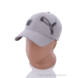 Фотография Кепка для мужчин Весна/осень PM019-1 grey (5 шт. р.сетка 57-59) "KUINH" недорого оптом от прямого поставщика