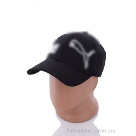 Фотография Кепка для мужчин Весна/осень PM019-4 black (5 шт. р.сетка 57-59) "KUINH" недорого оптом от прямого поставщика