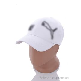 Фотография Кепка для мужчин Весна/осень PM019-5 white (5 шт. р.сетка 57-59) "KUINH" недорого оптом от прямого поставщика