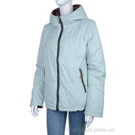 Куртка жіноча Весна/осінь 2830-213-4 l.green (4 шт. р.сіткаM-2XL) "Мир" недорого оптом від прямого постачальника