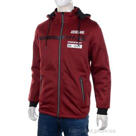 Куртка чоловіча Весна/осінь K308 bordo (3 шт. р.сіткаXL-3XL) "M7" недорого оптом від прямого постачальника