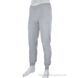 Фотография Спортивные брюки мужские Весна/осень 05804 grey (4 шт. р.сетка 46-52) "Obuvok" недорого оптом от прямого поставщика