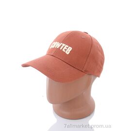 Фотография Кепка для мужчин Весна/осень WF015-9 brown (5 шт. р.сетка 57-59) "KUINH" недорого оптом от прямого поставщика