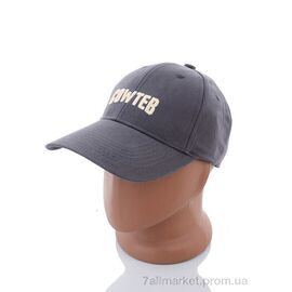 Фотография Кепка для мужчин Весна/осень WF015-10 grey (5 шт. р.сетка 57-59) "KUINH" недорого оптом от прямого поставщика