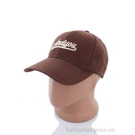 Фотография Кепка для мужчин Весна/осень WF015-22 brown (3 шт. р.сетка 57-59) "KUINH" недорого оптом от прямого поставщика