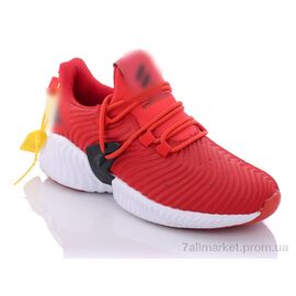 Кросівки жіночі модні Весна/осінь B227-5 (8 пар р.36-41) "Wan Jin" недорого оптом від прямого постачальника