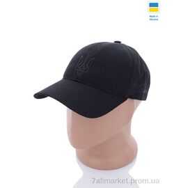 Фотография Кепка для мужчин Весна/осень Бейсболка котон з вишивкою N015 чорний (3 шт. р.сетка One size) "VIOLA" недорого оптом от прямого поставщика