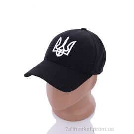 Фотография Кепка для мужчин Весна/осень Бейсболка котон з вишивкою 15 (2 шт. р.сетка One size) "VIOLA" недорого оптом от прямого поставщика