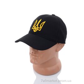 Кепка для чоловіків Весна/осінь AK011 black (3 шт. р.сіткаOne size) "VIOLA" недорого оптом від прямого постачальника