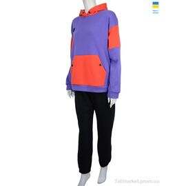 Фотография Спортивный костюм женский Весна/осень Єд b violet (06926) ЗНИЖКА флис (2 шт. р.сетка L-XL) "Obuvok" недорого оптом от прямого поставщика