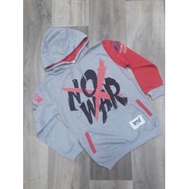 Фотография Худи детский на мальчика 8751 grey р.13-17 "iBamBino" недорого оптом от прямого поставщика