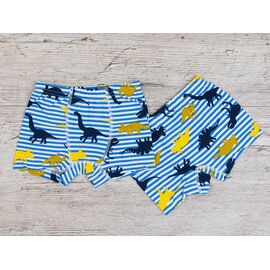 Труси дитячі на хлопчика B20 l.blue р.4-11 "OL" недорого оптом від прямого постачальника