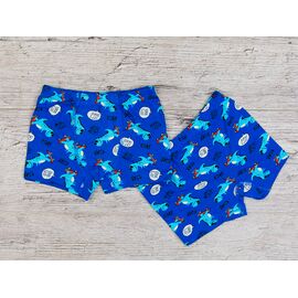 Труси дитячі на хлопчика B20 blue р.4-11 "OL" недорого оптом від прямого постачальника