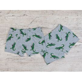 Труси дитячі на хлопчика B20 grey р.4-11 "OL" недорого оптом від прямого постачальника