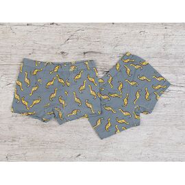 Труси дитячі на хлопчика B20 d.grey р.4-11 "OL" недорого оптом від прямого постачальника