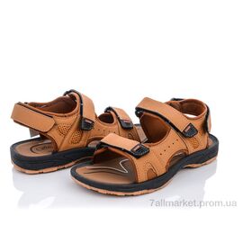 Сандалії чоловічі літні Літо ML1(SSD4026) camel (6 пар р.40-45) "Violeta" недорого оптом від прямого постачальника