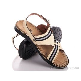 Фотография Сандалии мужские летние Лето 1008-4 (6 пар р.40-45) "Makers Shoes" недорого оптом от прямого поставщика