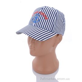 Фотография Кепка детская Лето 011-2 blue (5 шт. р.сетка 48-50) "KUINH" недорого оптом от прямого поставщика