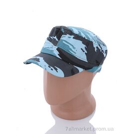 Фотография Кепка для мужчин Лето NB02-3 blue (5 шт. р.сетка 55-57) "KUINH" недорого оптом от прямого поставщика