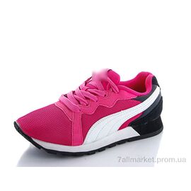 Кросівки жіночі модні Літо B307-7 (8 пар р.36-40) "AOKA" недорого оптом від прямого постачальника