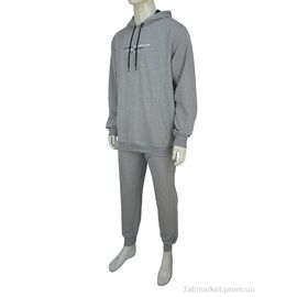 Фотография Спортивный костюм мужской Весна/осень Vicente 2355 grey (4 шт. р.сетка M-2XL) "Novac" недорого оптом от прямого поставщика