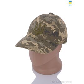 Кепка для чоловіків Весна/осінь Бейсболка тризуб 001-4 зелений (5 шт. р.сіткаOne size) "VIOLA" недорого оптом від прямого постачальника