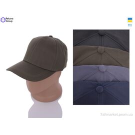 Фотография Кепка для мужчин Весна/осень LC001-3 mix (5 шт. р.сетка One size) "Reluna Group" недорого оптом от прямого поставщика