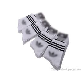 Шкарпетки для чоловіків Весна/осінь 1051Ad білі (12 шт. р.сітка41-45) "Textile" недорого оптом від прямого постачальника