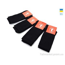 Шкарпетки для чоловіків Весна/осінь 1029 чорний (12 шт. р.сітка40-44) "Textile" недорого оптом від прямого постачальника