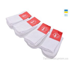 Фотография Носки женские Весна/осень 1037 білий (12 шт. р.сетка 36-39) "Textile" недорого оптом от прямого поставщика