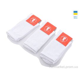 Шкарпетки для чоловіків Весна/осінь 021 white (12 шт. р.сітка40-44) "Textile" недорого оптом від прямого постачальника
