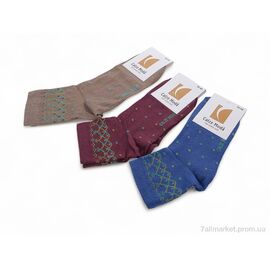 Фотография Носки женские Весна/осень T37 mix (12 шт. р.сетка 36-40) "Textile" недорого оптом от прямого поставщика
